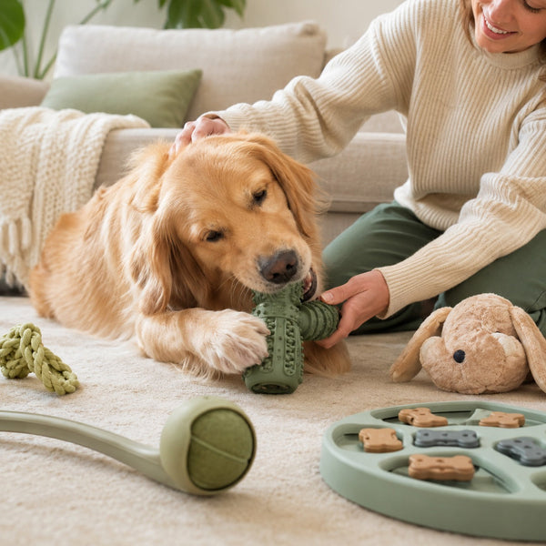 Toys & Enrichment