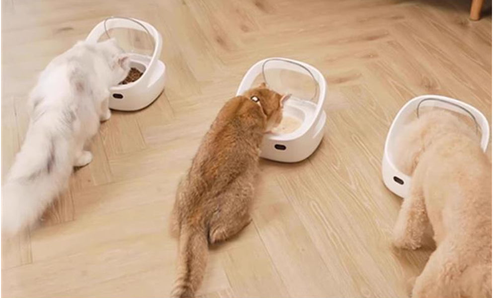 Smart Pet Feeder with Accurate Portion Control Anti-Stealing Design