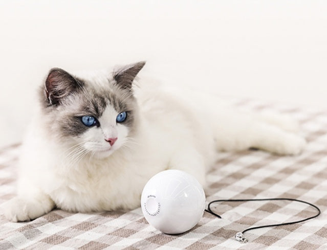 Smart Automatic Interactive Cat Toy Ball for Active Play