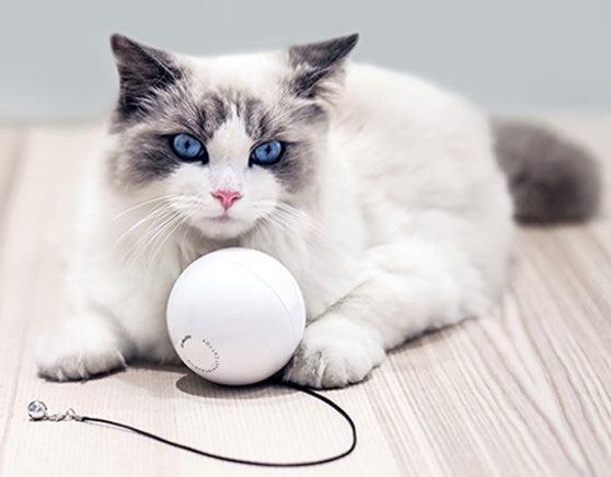Smart Automatic Interactive Cat Toy Ball for Active Play