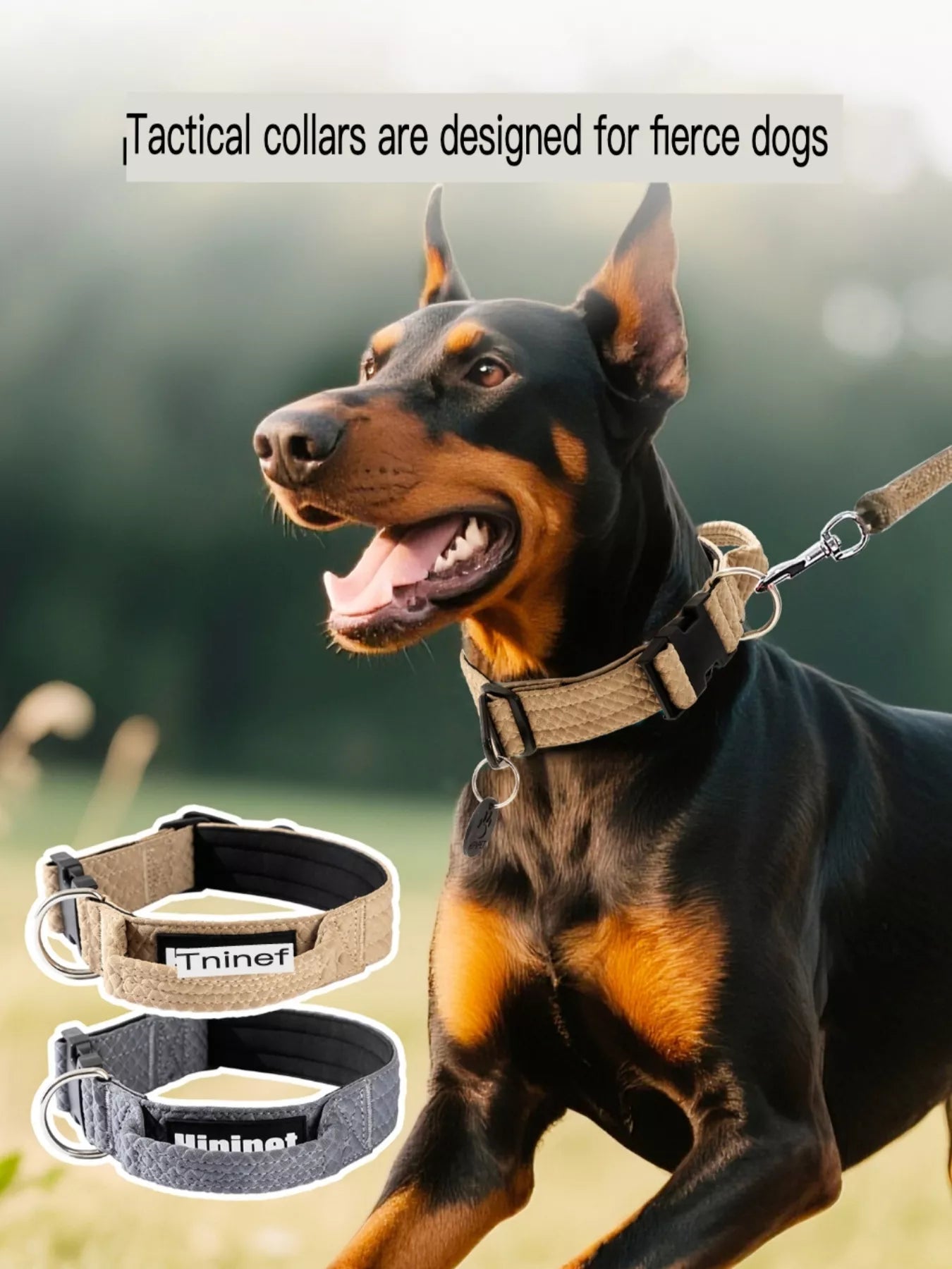Comfortable Neck Guard Heavy Duty Pet Collar Adjustable