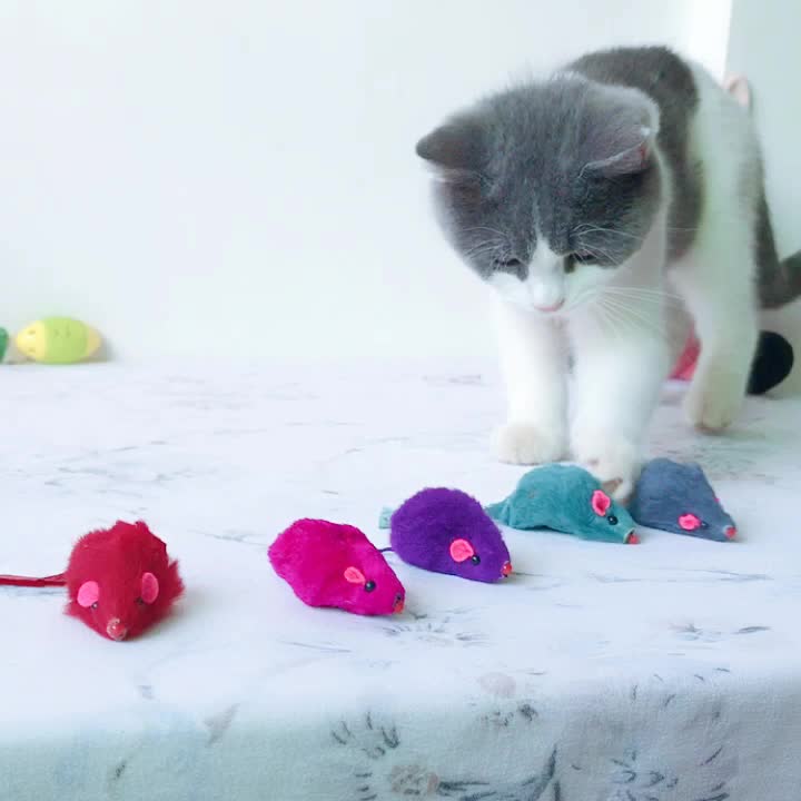 Funny Little Mouse Cat Puzzle Toy for Interactive Play