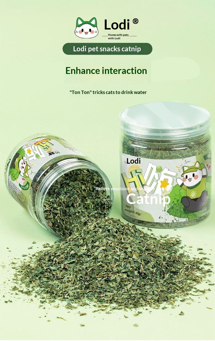 Cat Grass Leaf Treats with Teaser Toy