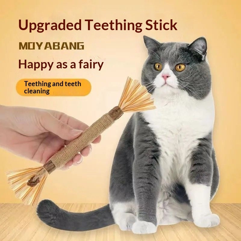 Cat Toy Gift Set for Interactive Play and Fun