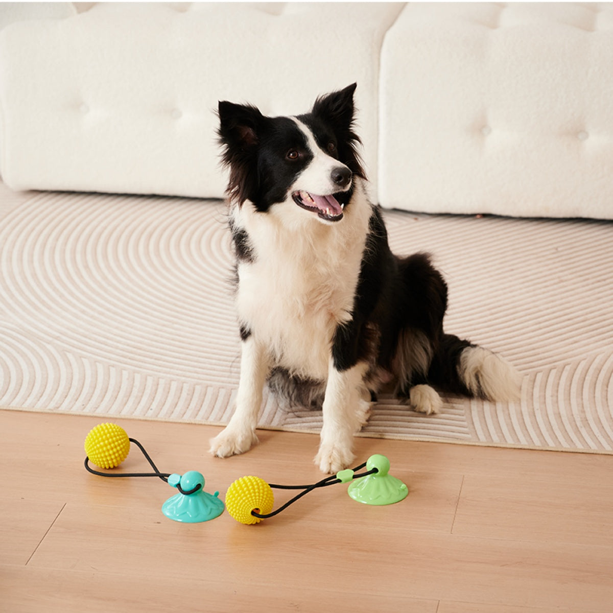 Corn Ball Suction Cup Dog Tug Chew Toy