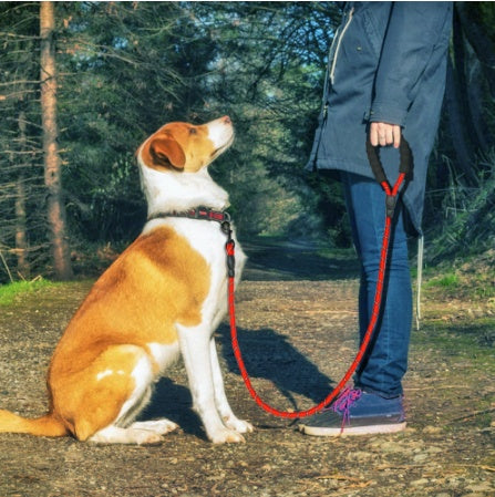 K9R M1 LightSpeed Dog Harness for Large Dogs