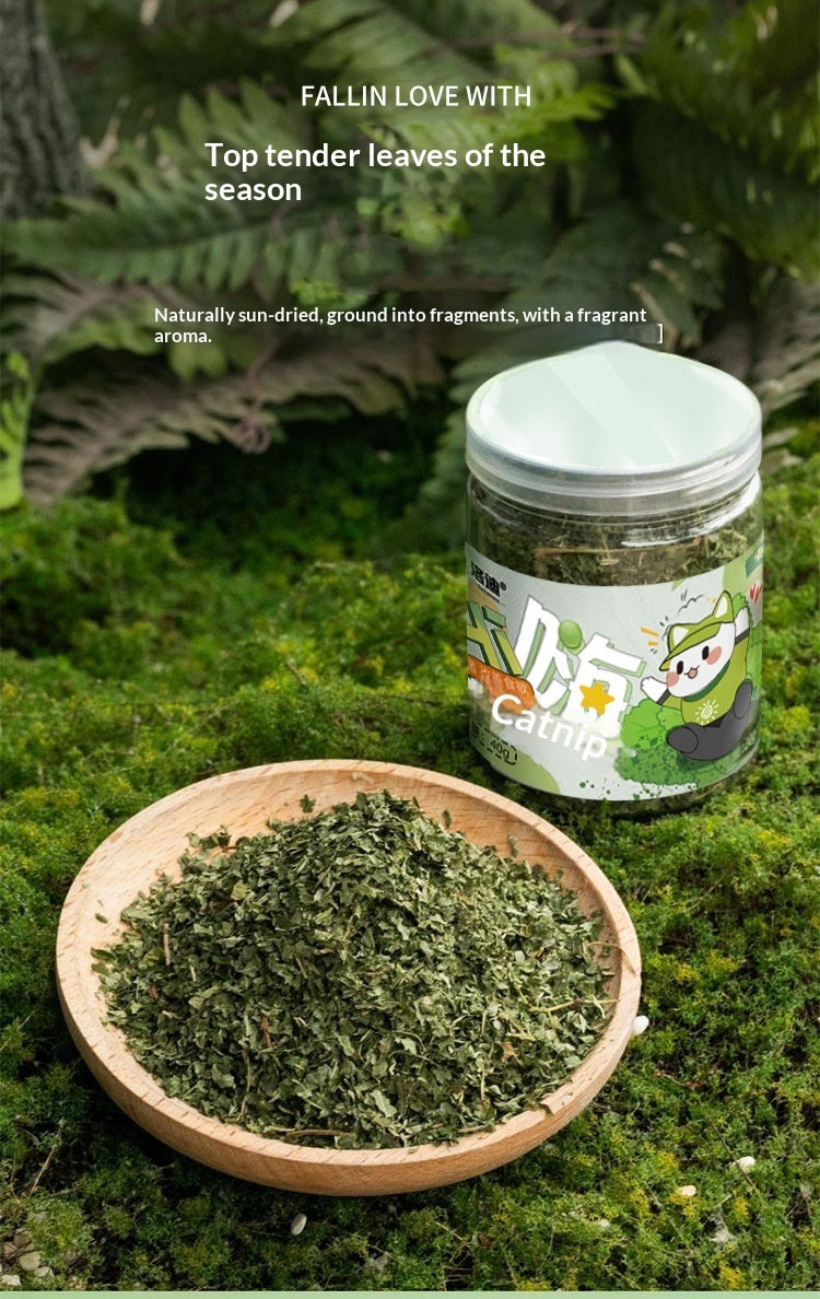 Cat Grass Leaf Treats with Teaser Toy