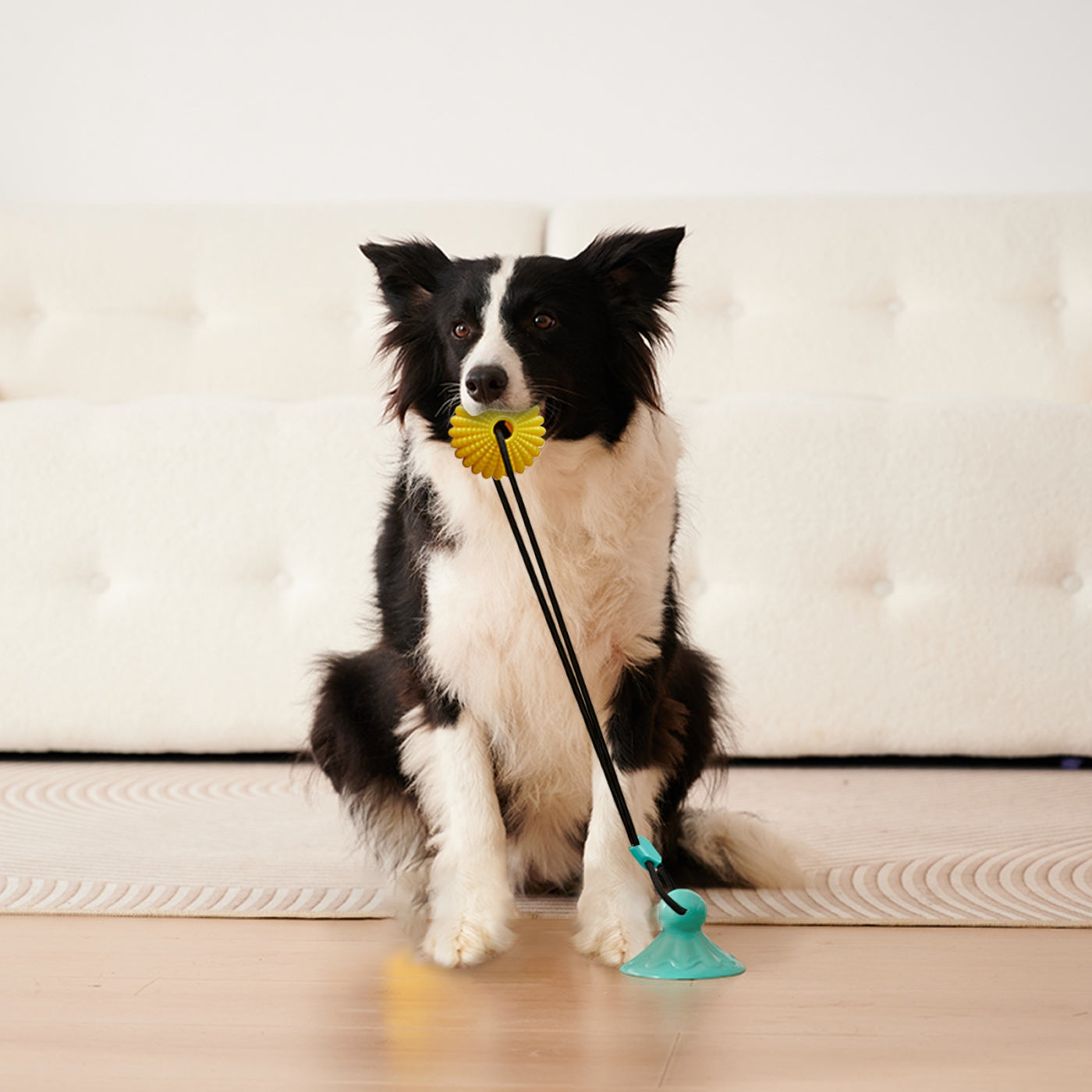 Corn Ball Suction Cup Dog Tug Chew Toy