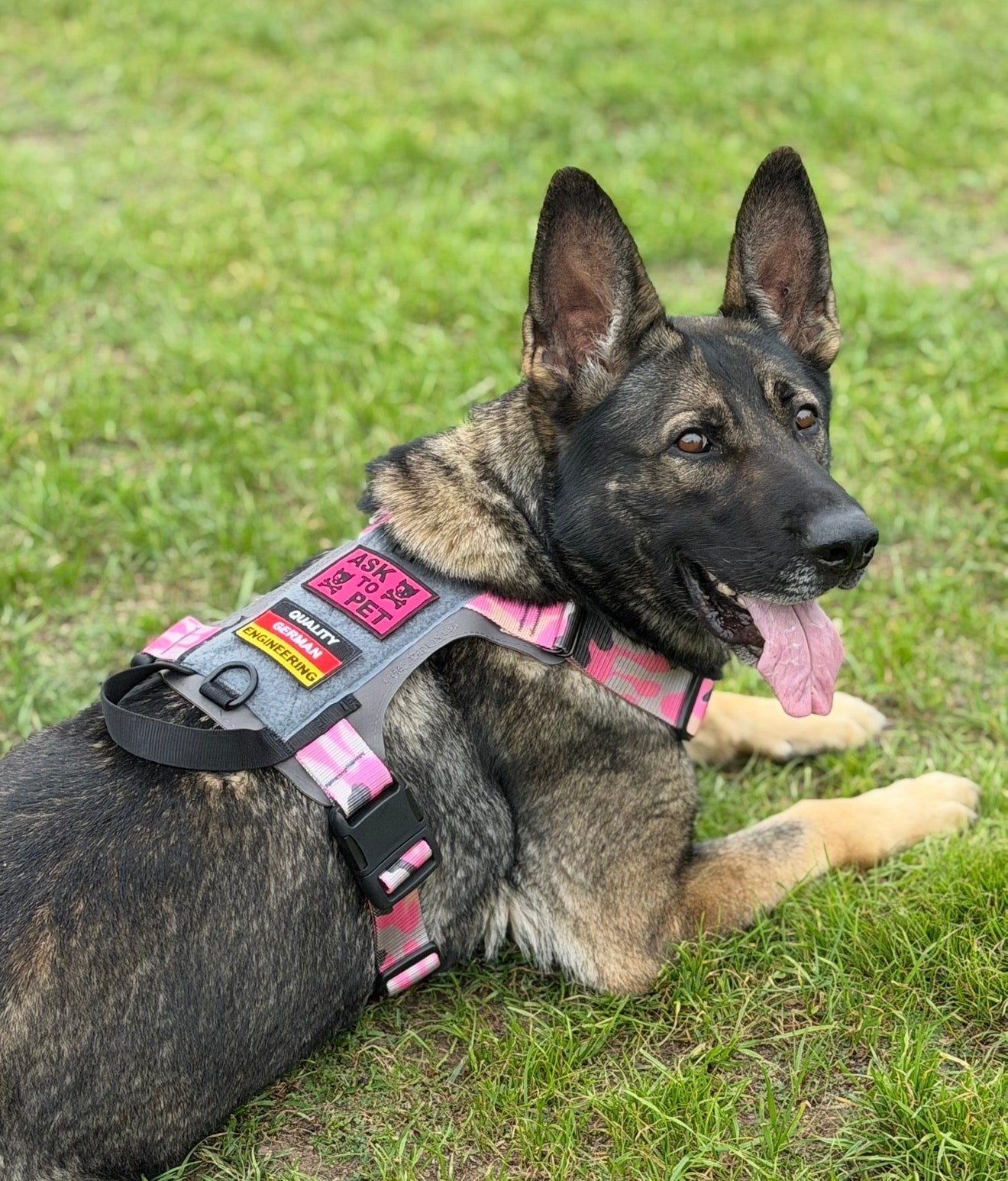 K9R M1 LightSpeed Dog Harness for Large Dogs