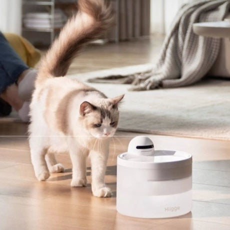 Pet Feeder with Accurate Portion Control Anti-Stealing Design