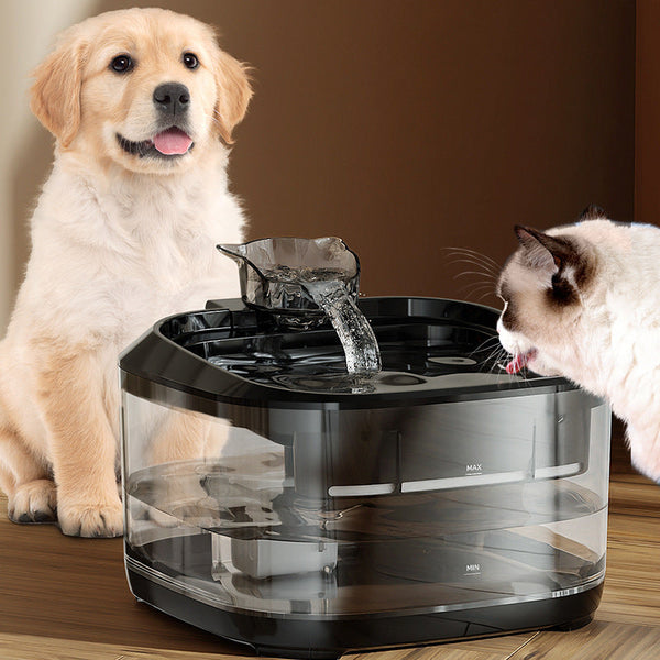 Smart Automatic Pet Water Fountain with Filtration System Large Capacity