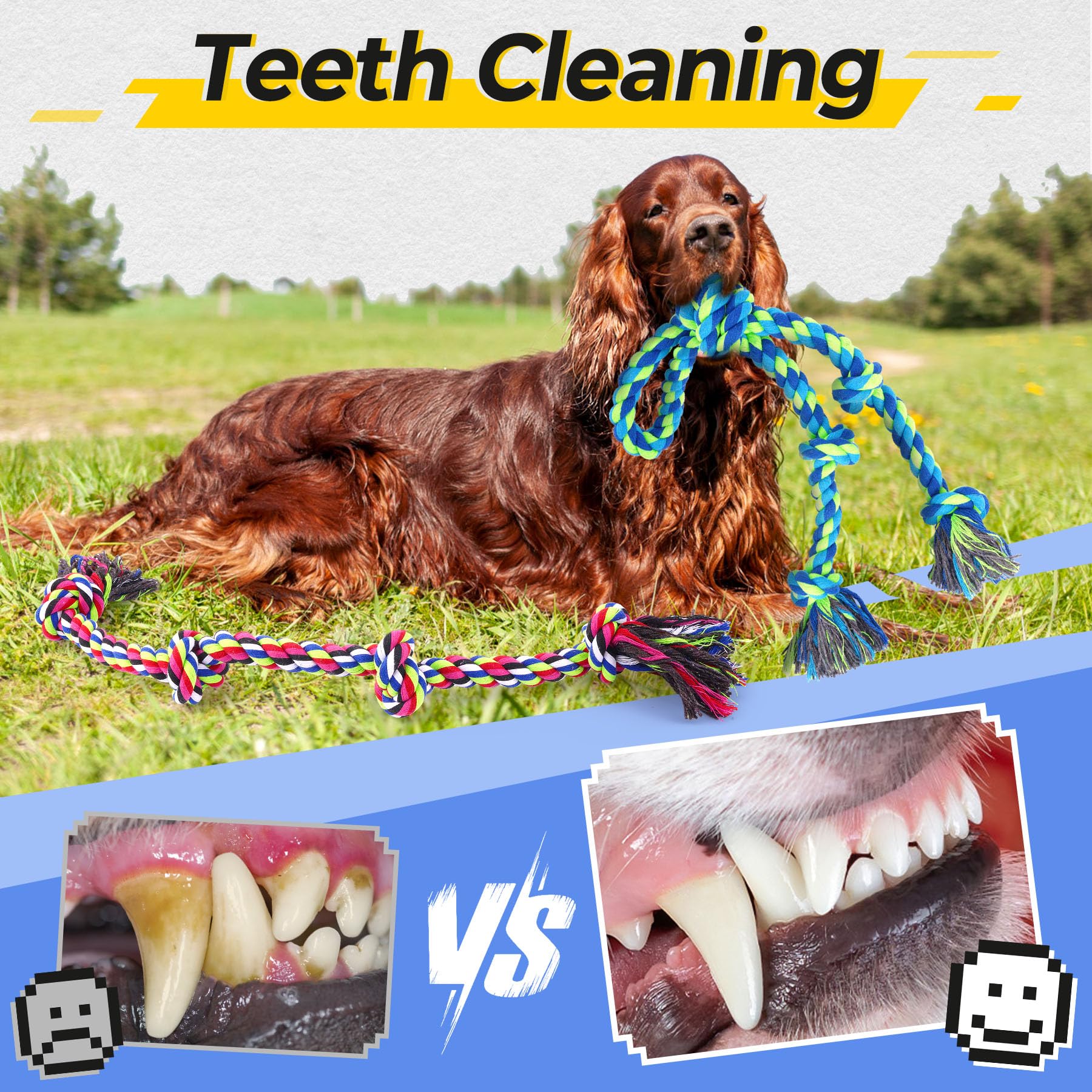 Tough Dog Rope Toys for Aggressive Chewers and Tugging