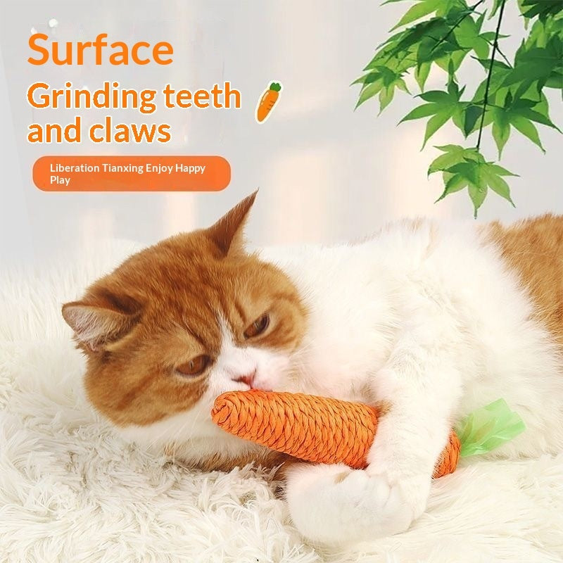Cat Toy Gift Set for Interactive Play and Fun