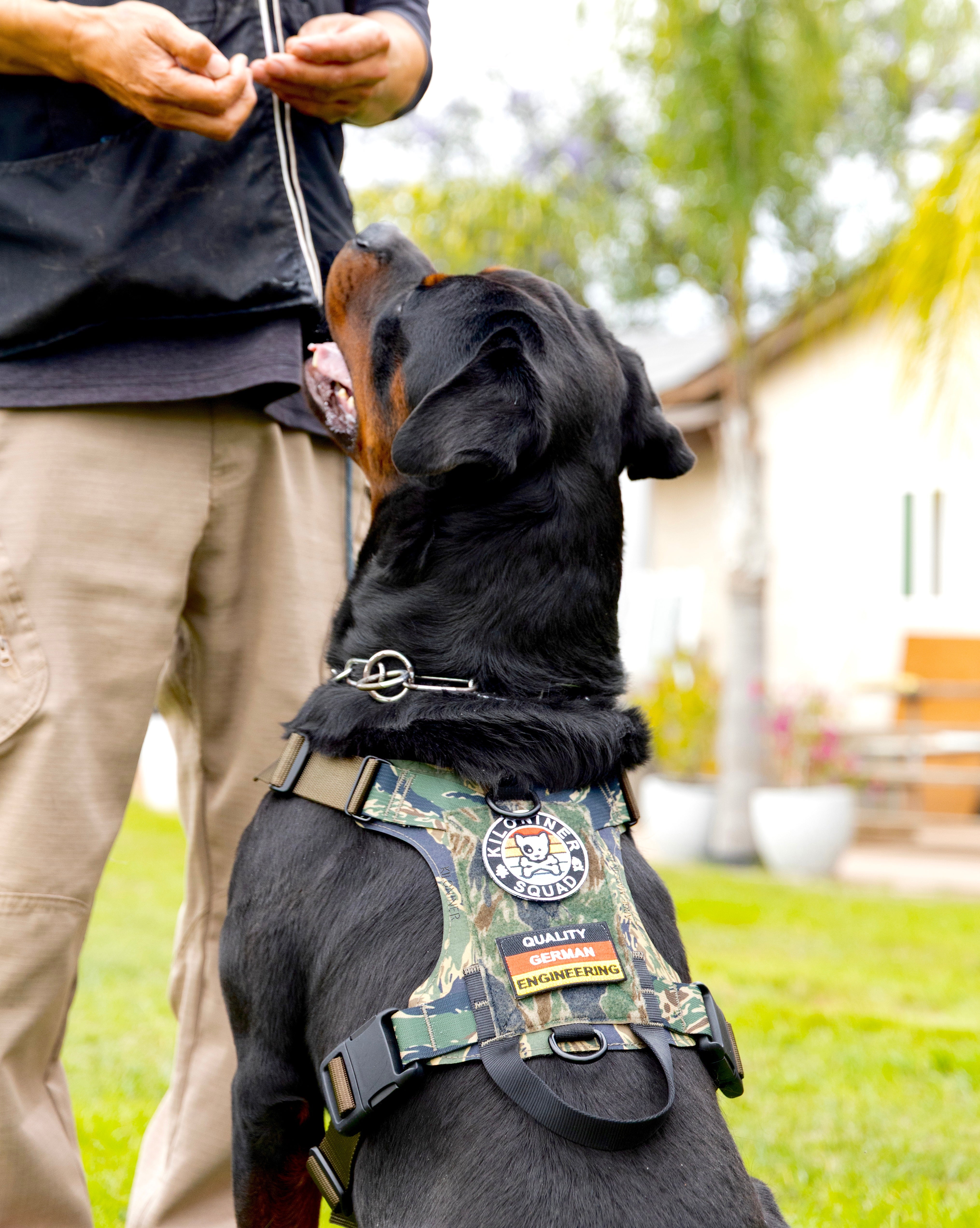K9R M1 LightSpeed Dog Harness for Large Dogs