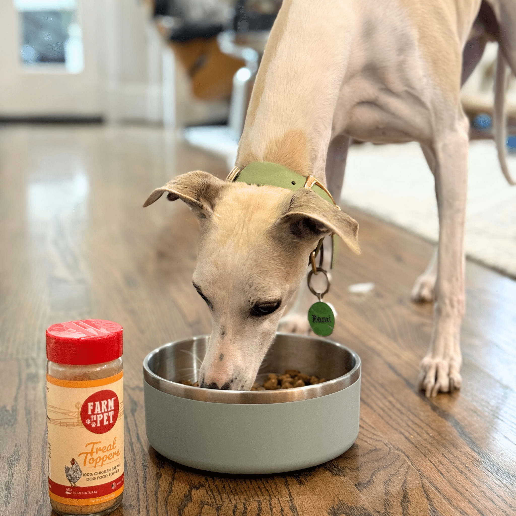 Chicken Treat Topper Healthy Dog Food Meal Supplement