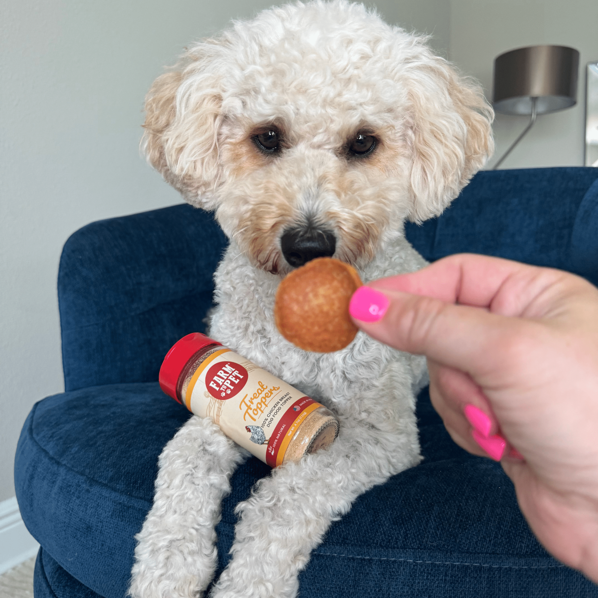 Chicken Treat Topper Healthy Dog Food Meal Supplement