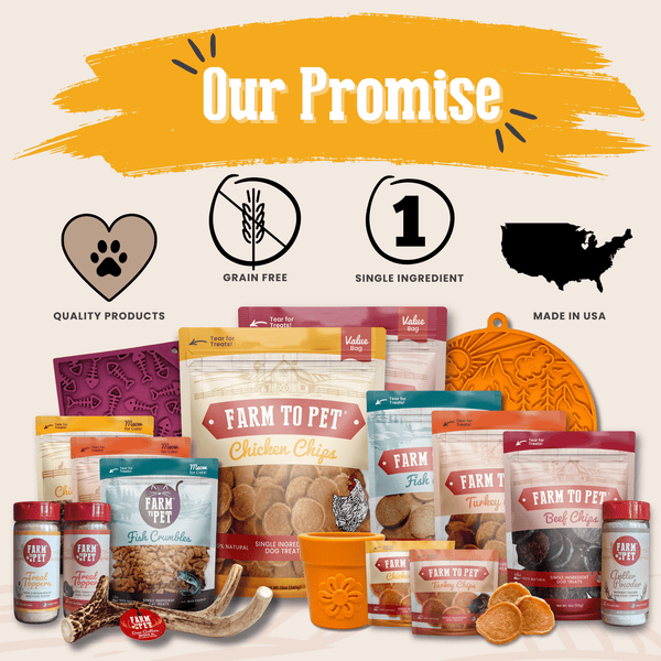 Chicken Treat Topper Healthy Dog Food Meal Supplement