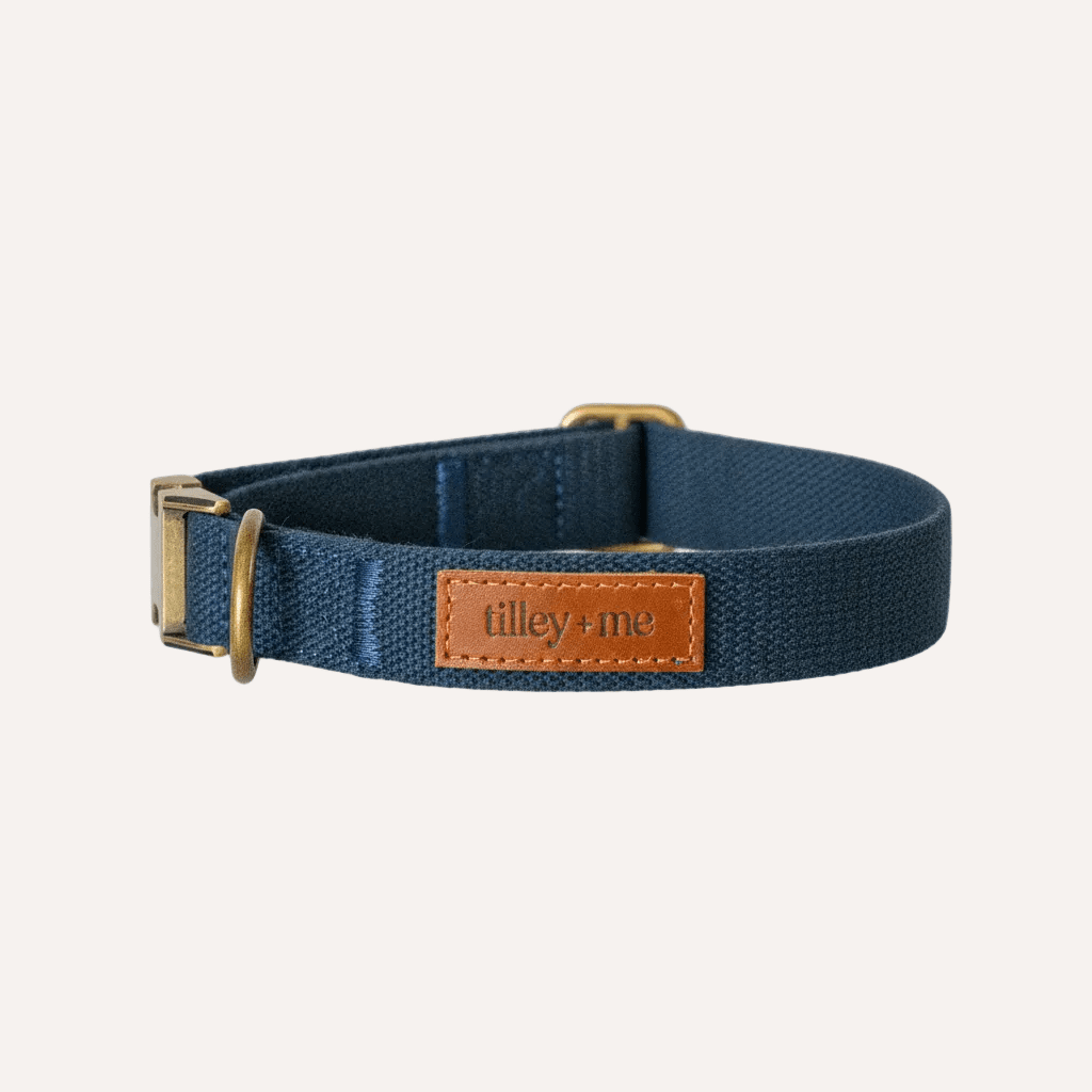 Hemp Cotton Adjustable Dog Collar Joshua Tree
