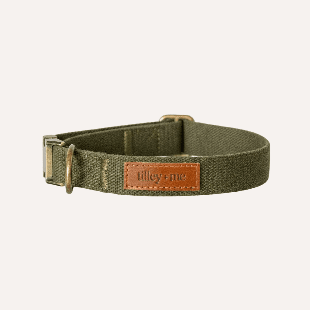 Hemp Cotton Adjustable Dog Collar Joshua Tree