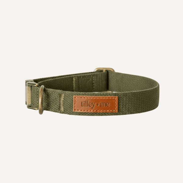 Hemp Cotton Adjustable Dog Collar Joshua Tree