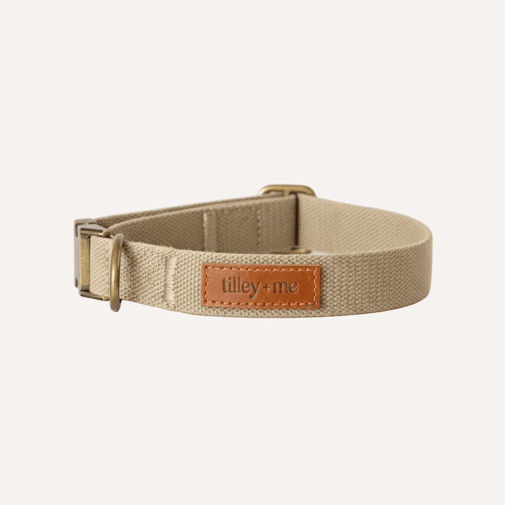 Hemp Cotton Adjustable Dog Collar Joshua Tree