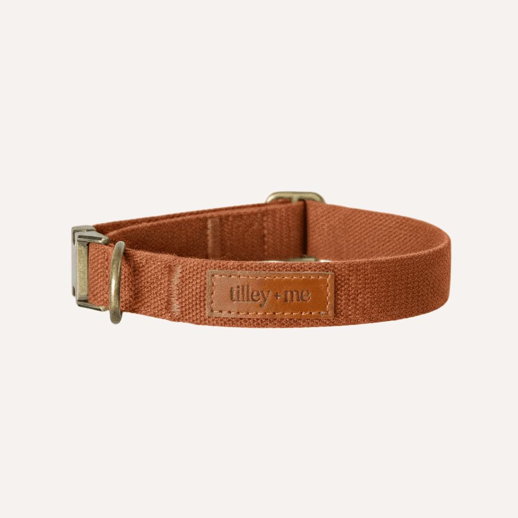 Hemp Cotton Adjustable Dog Collar Joshua Tree