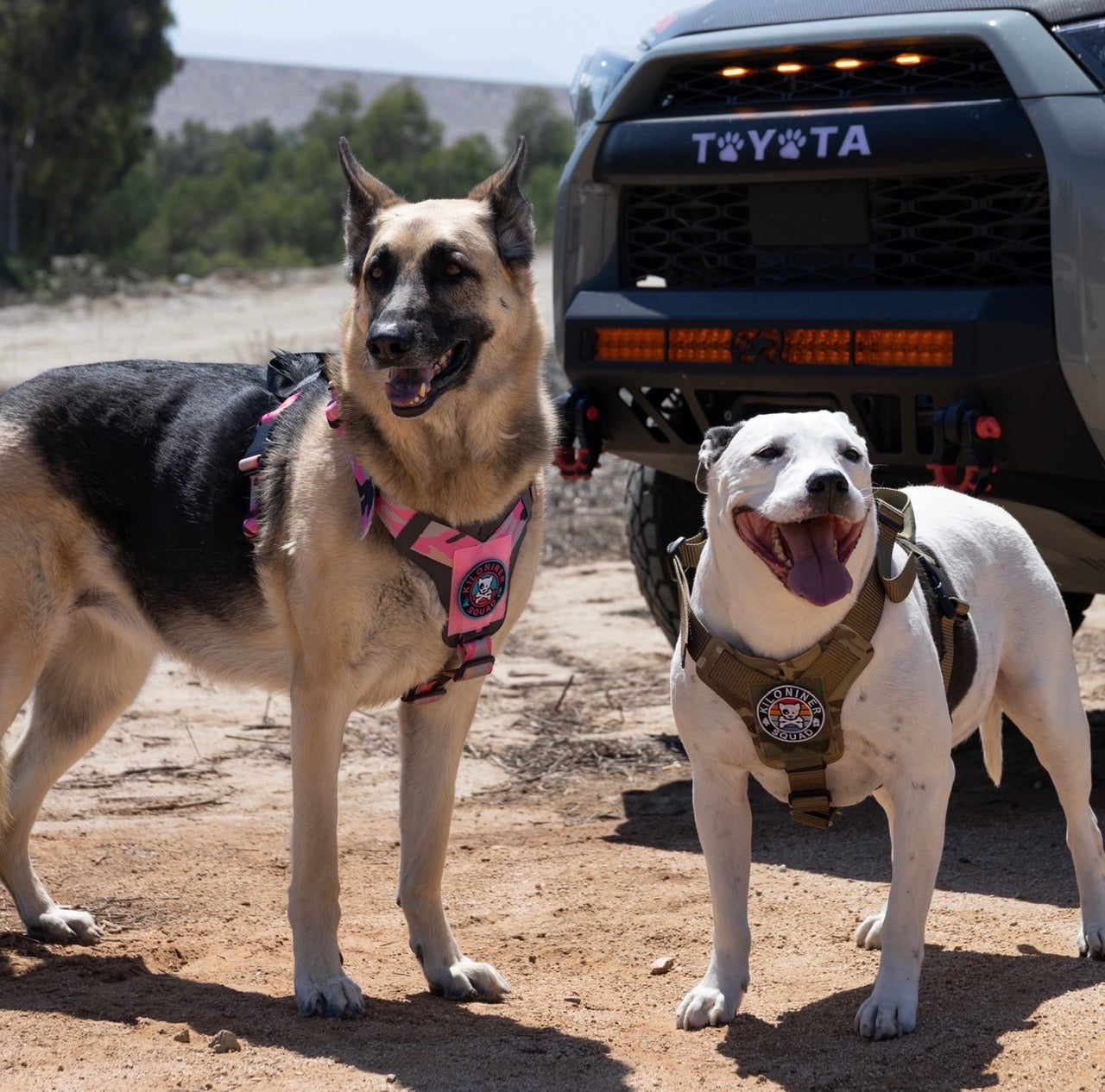 K9R M1 LightSpeed Dog Harness for Large Dogs