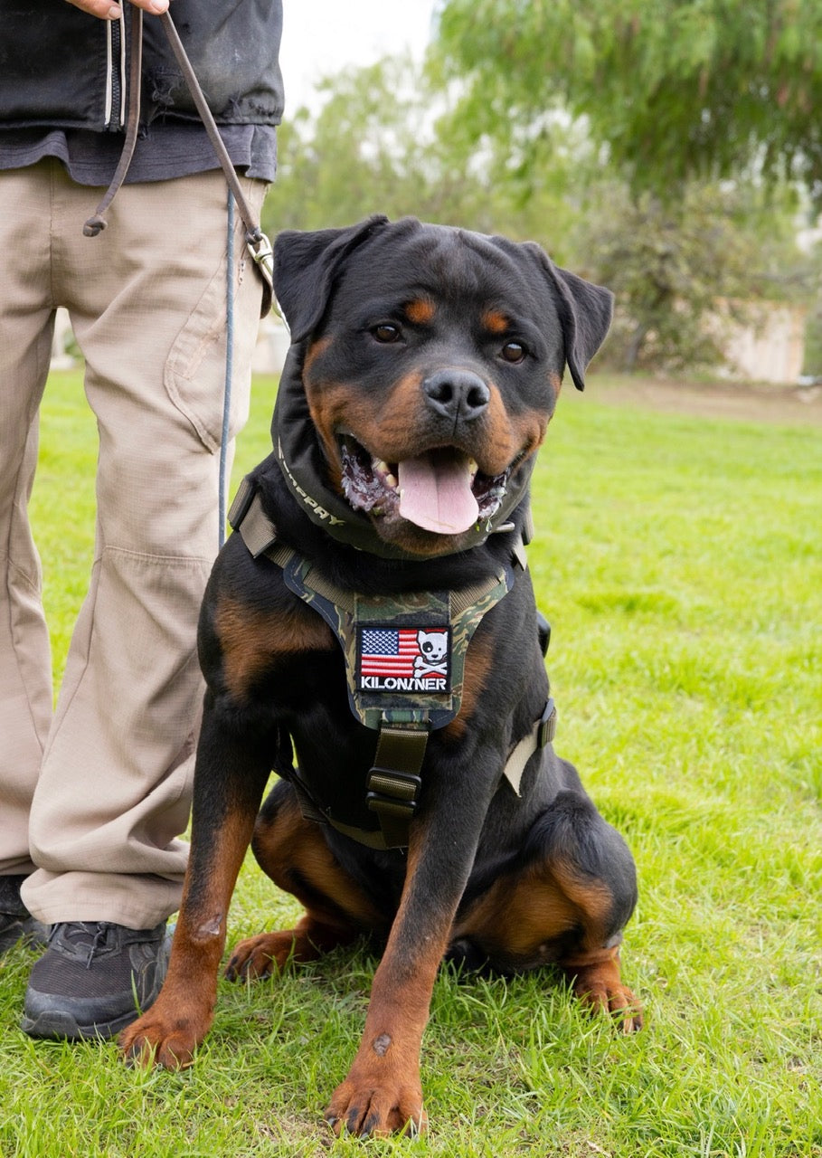 K9R M1 LightSpeed Dog Harness for Large Dogs