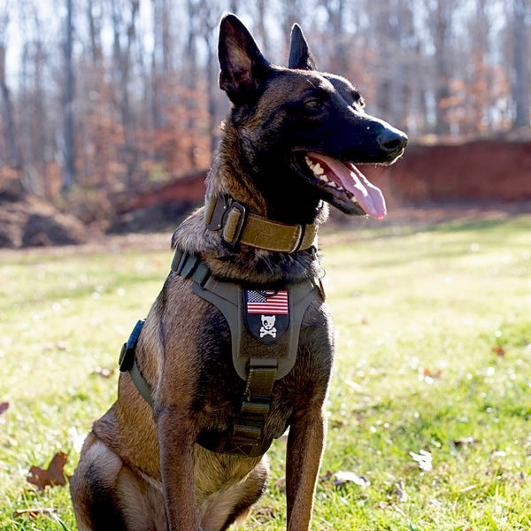 K9R M1 LightSpeed Dog Harness for Large Dogs