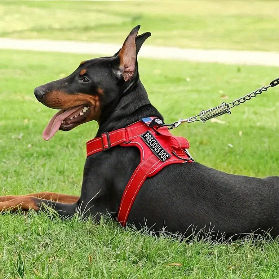Service Dog Harness Leash Set with Folding Bowl