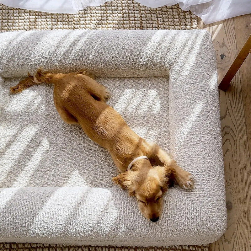 High-End Memory Foam Waterproof Removable Dog Bed Washable