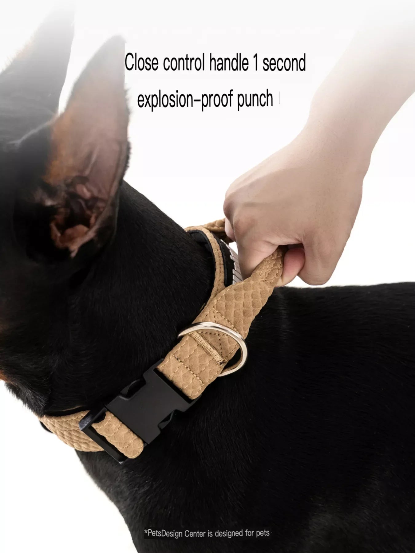 Comfortable Neck Guard Heavy Duty Pet Collar Adjustable