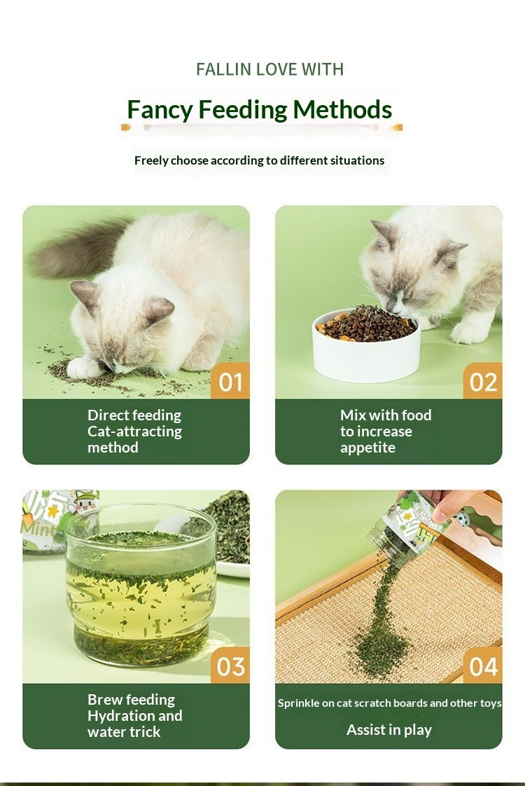 Cat Grass Leaf Treats with Teaser Toy
