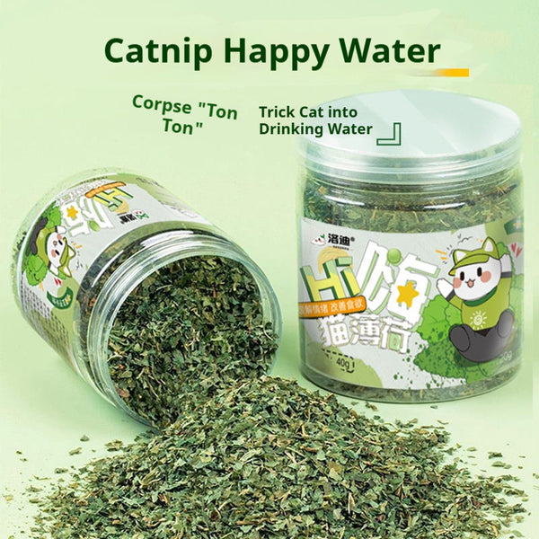 Cat Grass Leaf Treats with Teaser Toy