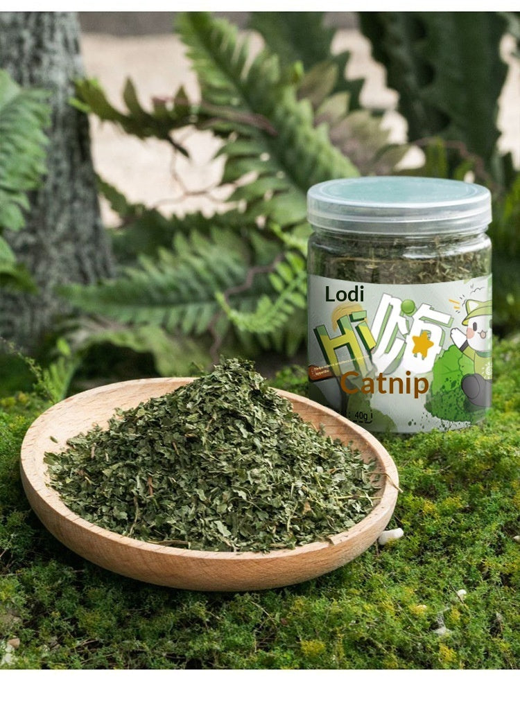 Cat Grass Leaf Treats with Teaser Toy