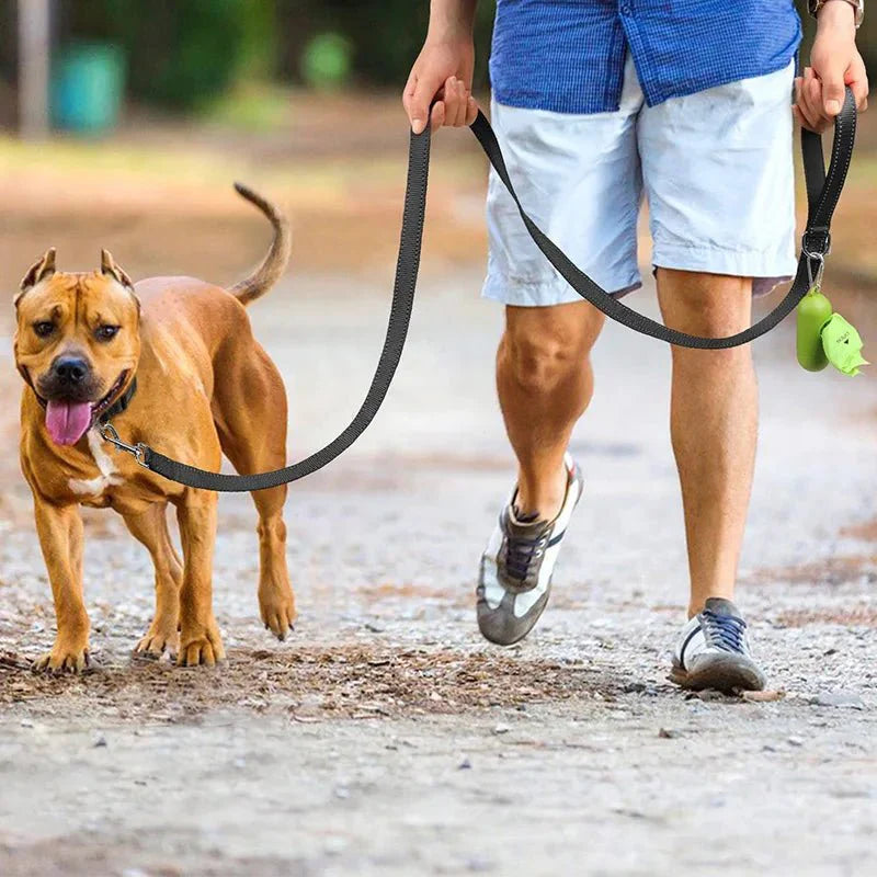 Reflective Adjustable Polyester Pet Leash for Dogs Cats
